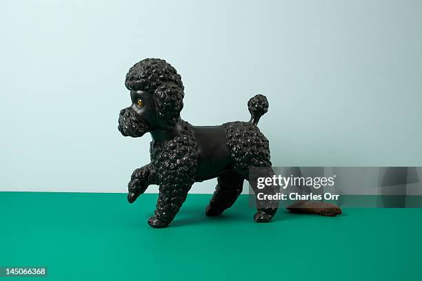 a kitsch dog standing obediently next to his animal dung - pure bred dog stock pictures, royalty-free photos & images