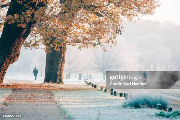 sunrise in a london park on a frosty morning - richmond upon thames imagens e fotografias de stock