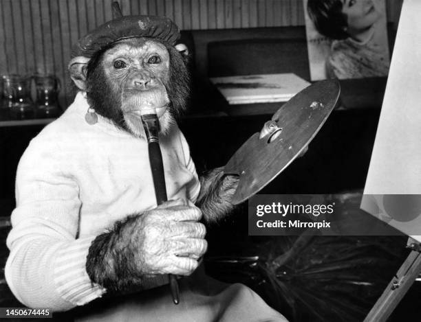 Mandy the chimp takes a liking to the paint and licks it off the brush with a winsome glance at the camera. September 1963.