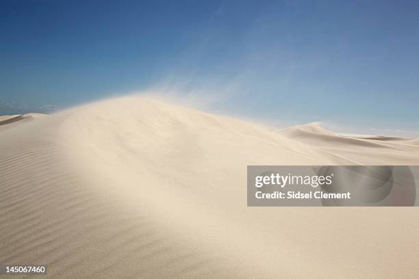 wind blowing sand on dunes - sand blowing stock pictures, royalty-free photos & images
