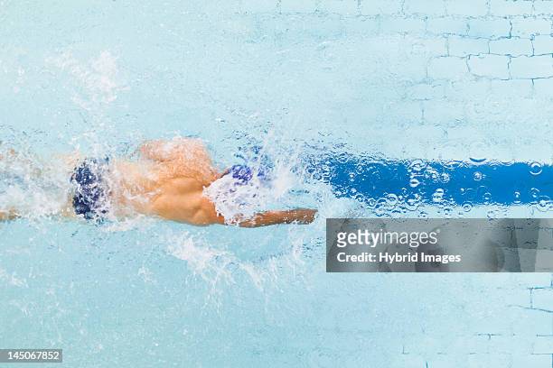 swimmer following pool lane - sport bahnrunde stock-fotos und bilder