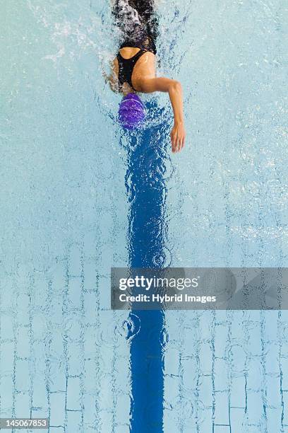 swimmer following pool lane - sport bahnrunde stock-fotos und bilder