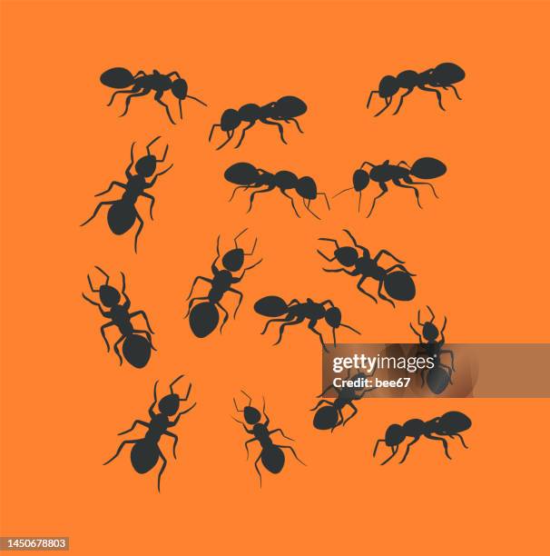 black ants pattern. - ant stock illustrations