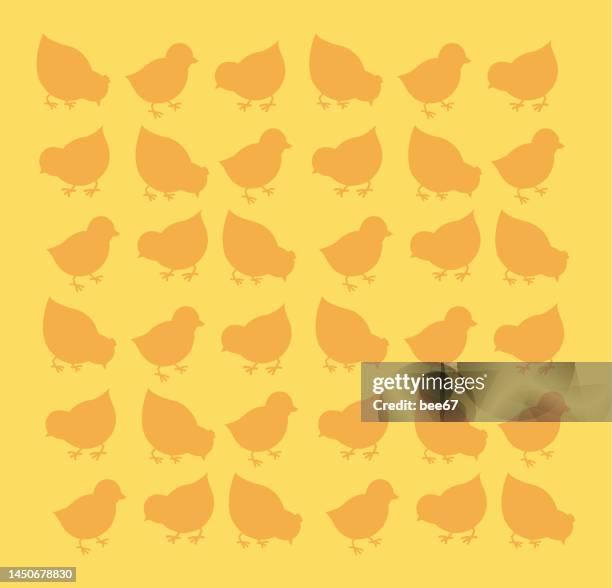 stockillustraties, clipart, cartoons en iconen met easter seamless pattern with chickens for wrapping paper, wallpaper, web page background. - young bird