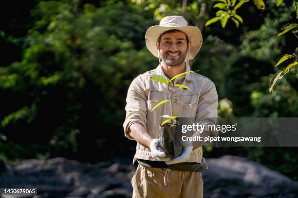 nature conservation male is volunteering to reforest for carbon neutrality adding oxygen to the air to reduce the carbon dioxide that causes global warming. - reforestation stock pictures, royalty-free photos & images