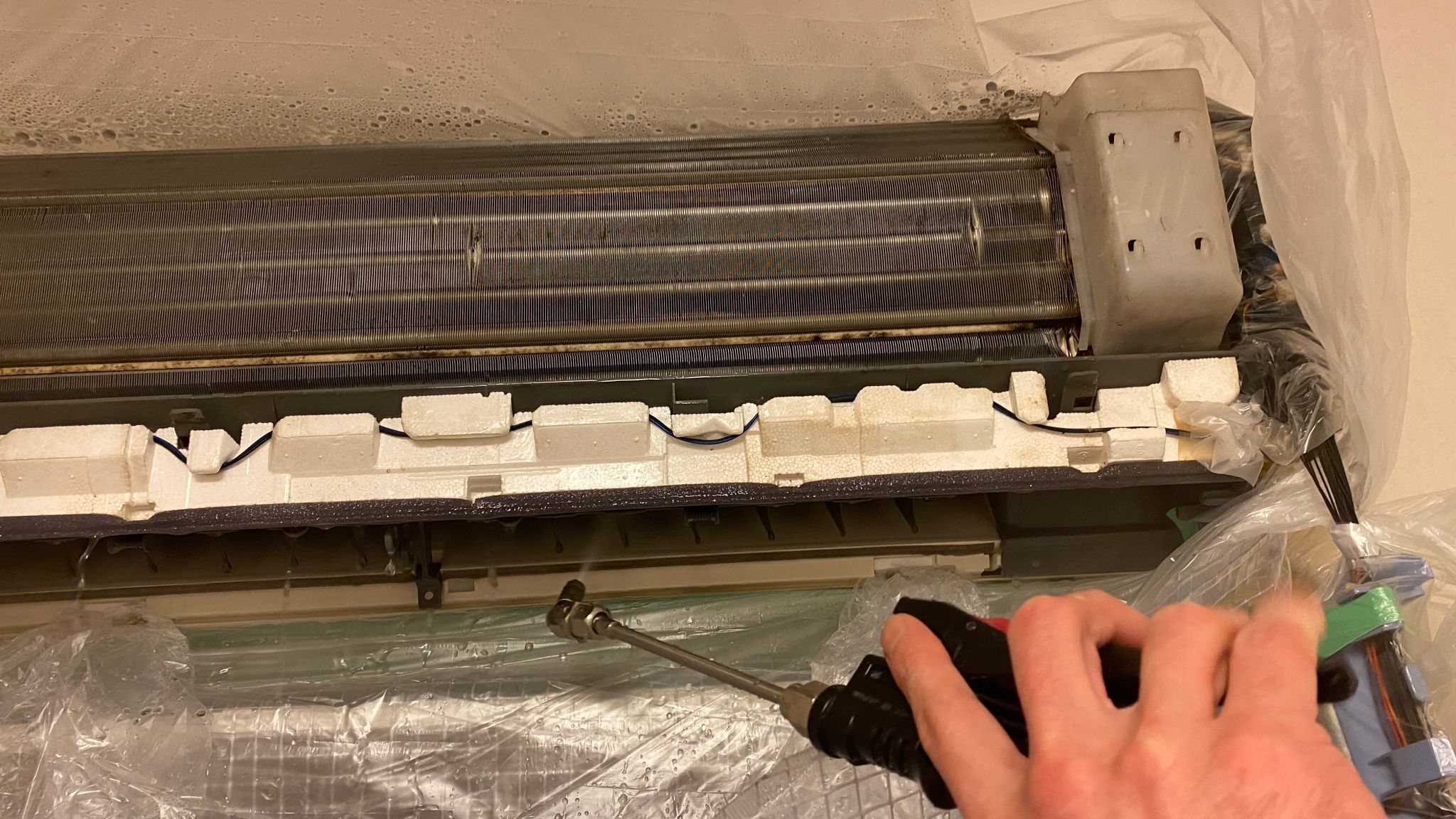humidor maintenance