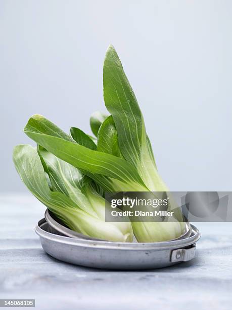 close up of pak choi in metal bowl - chinese cabbage stock pictures, royalty-free photos & images