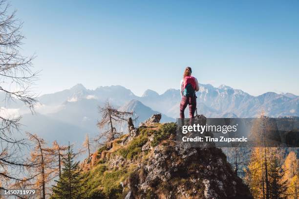 one lonely woman hiker standing in top of the rock looking at the breathtaking view of the mountains - slovakia stock pictures, royalty-free photos & images