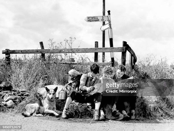 Hikers who have been on a camping holiday at Ovingham study a map to put them back in the right direction. June 1955.