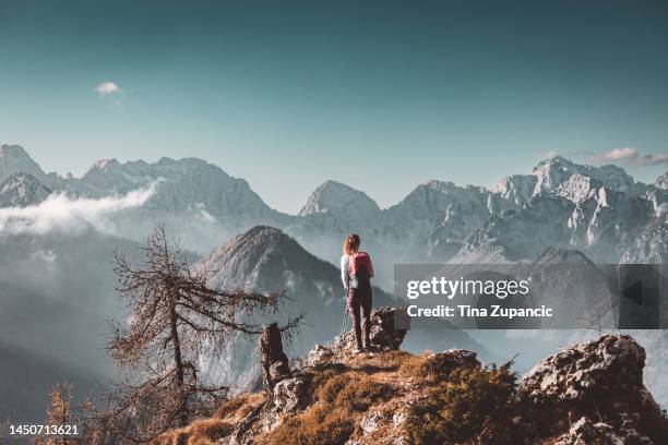 scenic mountain view and one lonely woman hiker standing at a view point looking at the alps - observation point stockfoto's en -beelden