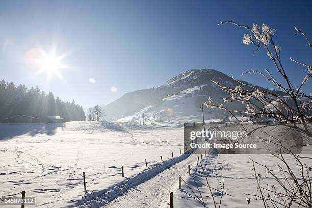 snow covered landscape, kirchberg, tirol, austria - kirchberg austria stock pictures, royalty-free photos & images