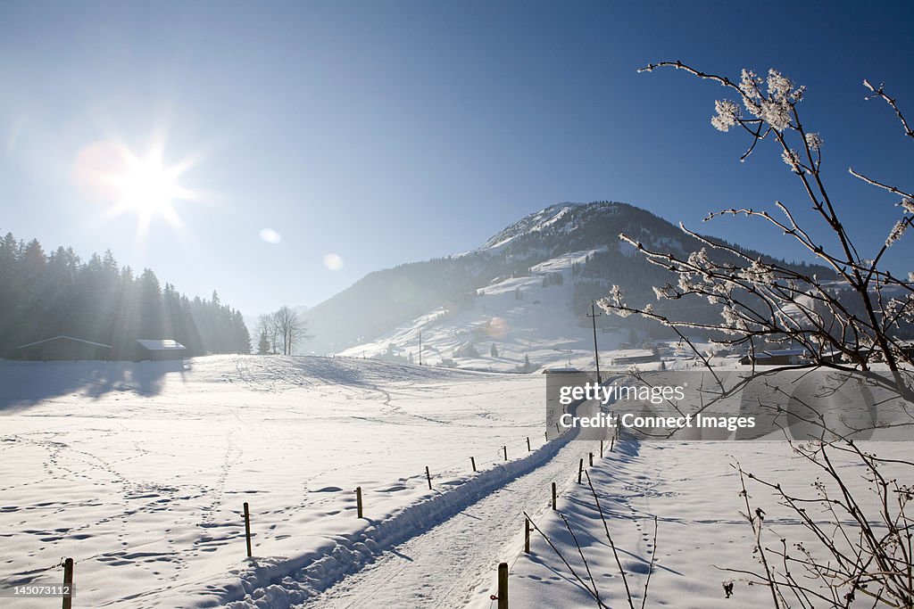Snow covered landscape, Kirchberg, Tirol, Austria
