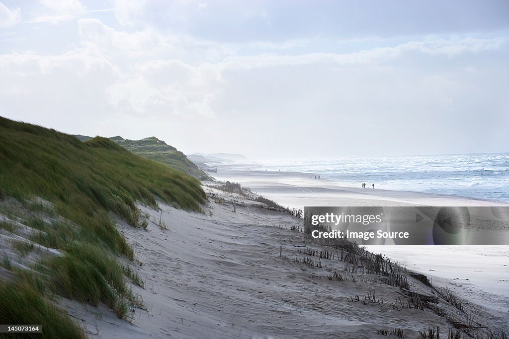 Sand dunes und Strand der Insel Sylt, Schleswig-Holstein, Deutschland