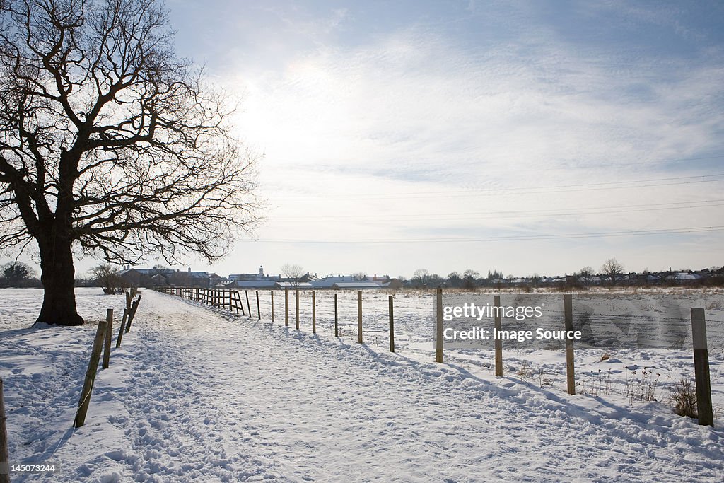 Ruta y campo cubierto de nieve