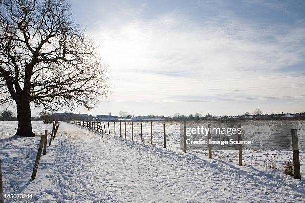 path and field covered in snow - surrey engeland stockfoto's en -beelden