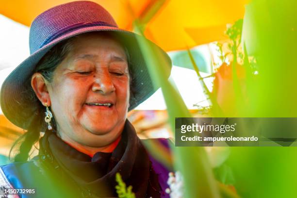 chola cuencana florist's portrait - ecuadorian ethnicity stock pictures, royalty-free photos & images