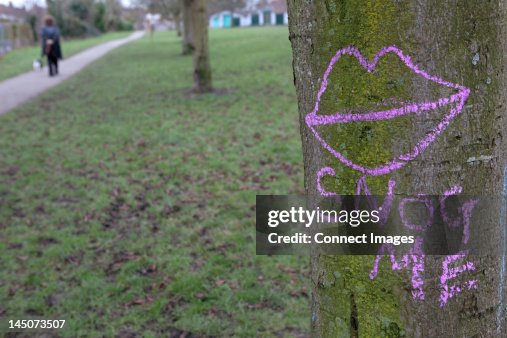 Tree Trunki 247 Graffiti Tree Trunk Stock Photos and High-Res Images - Getty Images