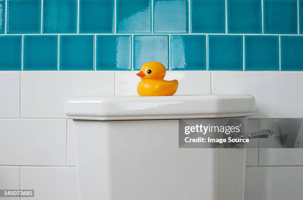 rubber duck on toilet - bathroom tiles stock pictures, royalty-free photos & images