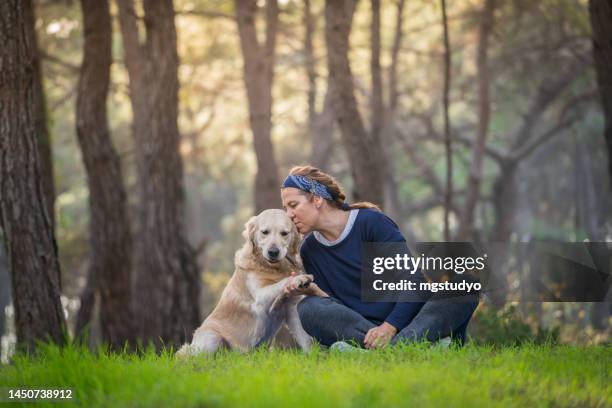 mulher adorável passar o tempo e beijar seu cão na floresta. - spring training - fotografias e filmes do acervo