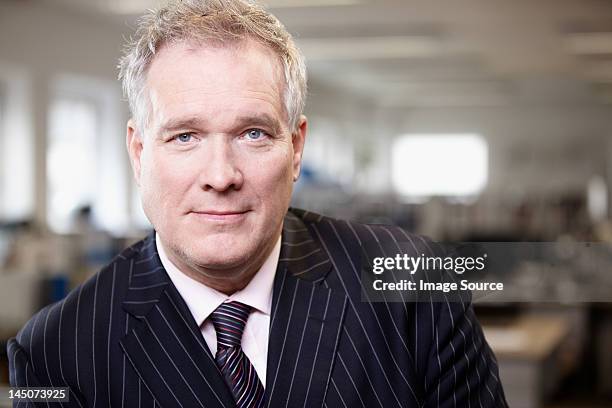 retrato de un hombre de negocios - pinstripe fotografías e imágenes de stock