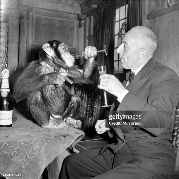 Joly, the film star chimp, seen here enjoying a drink with his trainer. January 1957.