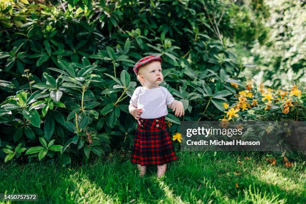 an infant turns one and enjoys a healthy cake at his birthday party. - kilt stock pictures, royalty-free photos & images