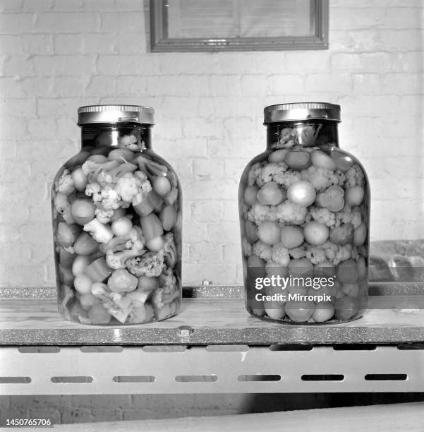 Pickle packers placing onions in jars, 1954.