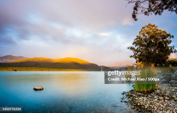 beautiful morning scene of lake te anau,te anau,new zealand - te anau stock pictures, royalty-free photos & images