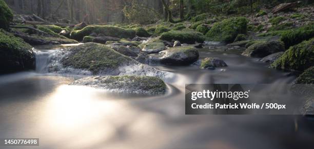 scenic view of waterfall in forest - monbach stock pictures, royalty-free photos & images