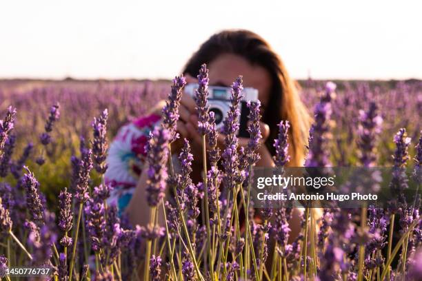 caucasian girl dressed in a flower dress taking a picture in lavender fields. - グアダラハラ県 ストックフォトと画像