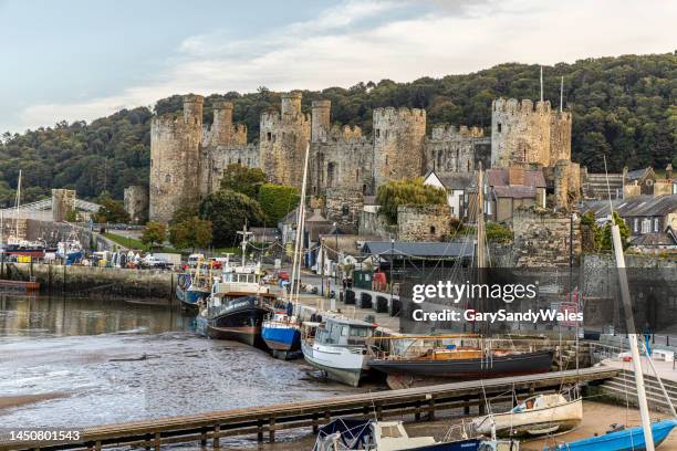 der hafen der ummauerten marktstadt conwy bei ebbe mit conwy castle im hinterland, conwy county borough in nordwales, großbritannien. - north wales stock-fotos und bilder