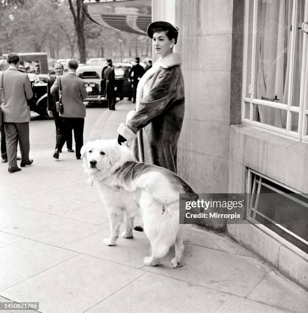 Woman wearing a fur coat with her pet golden retriever dog in London. September 1957.