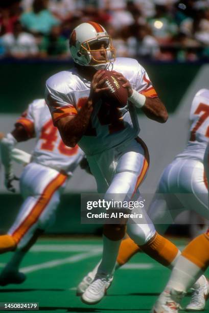 Quarterback Vinny Testaverde of the Tampa Bay Buccaneers drops back to pass the ball in the game between the Tampa Bay Buccaneers vs the New York...
