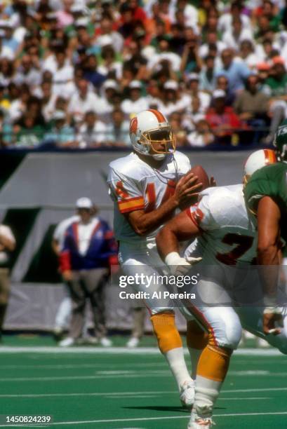 Quarterback Vinny Testaverde of the Tampa Bay Buccaneers drops back to pass the ball in the game between the Tampa Bay Buccaneers vs the New York...