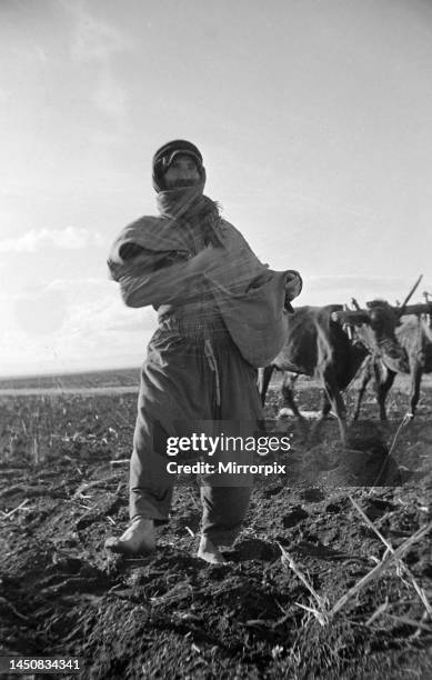 An Arab farmer sowing grain close to the River Jordan, Palestine. Circa 1935.