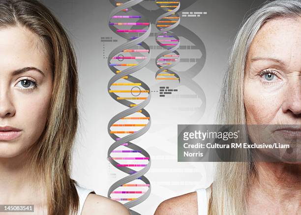 close up of women and dna helixes - age fotografías e imágenes de stock