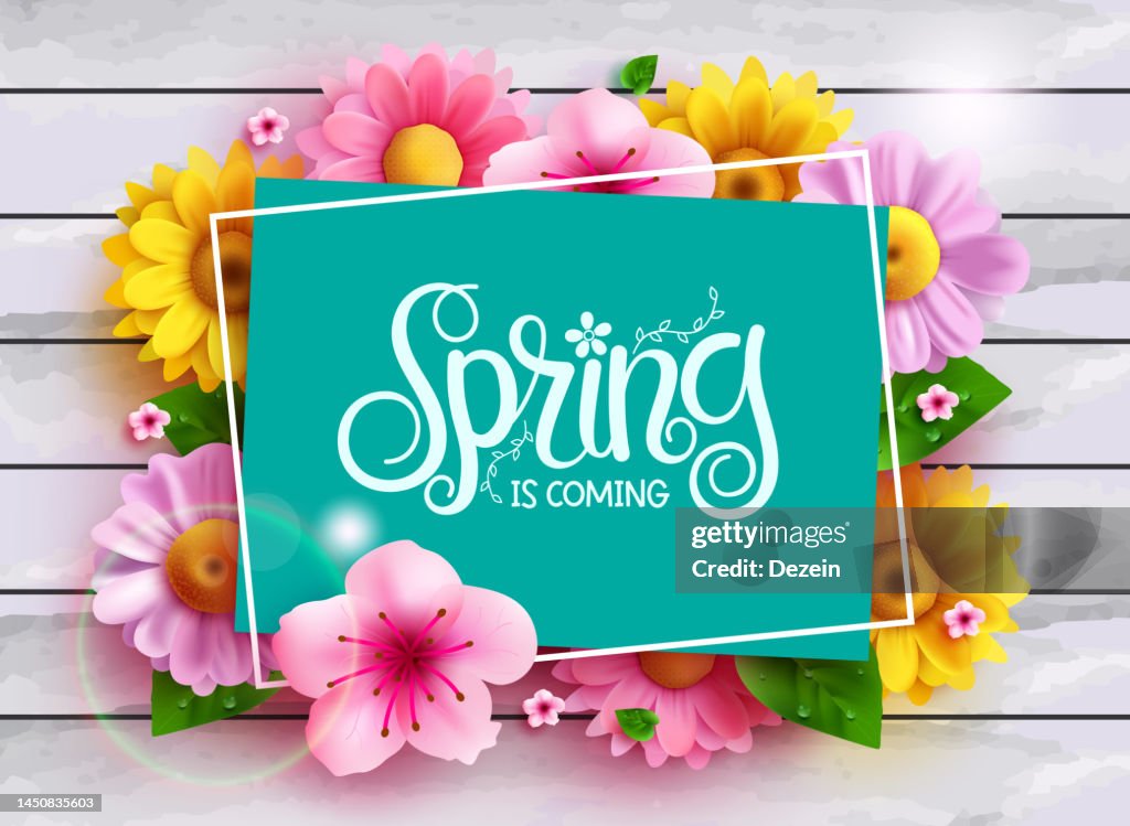 Opening Spring Text Spring Text Vector Template Design Spring Is Coming Typography In Empty ...