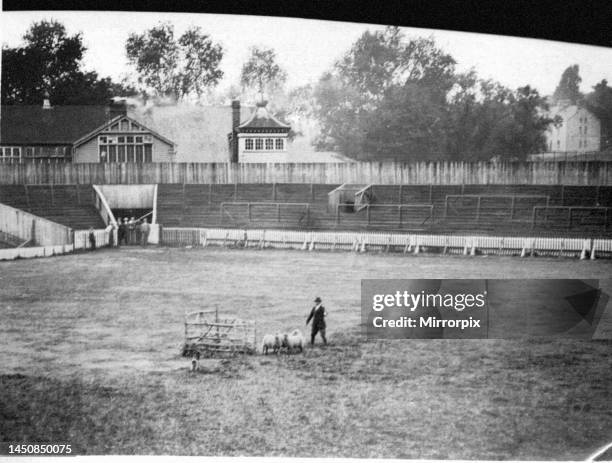 Sheepdog Trials held at Cardiff Arms Park - 28th August 1924.