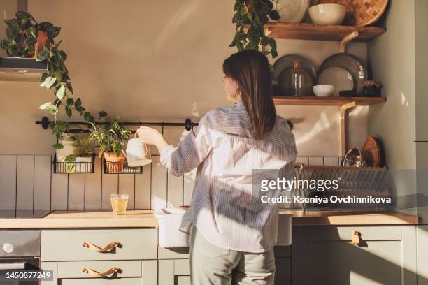 woman watering flowers at home on window - interiors with plants and sun stock pictures, royalty-free photos & images