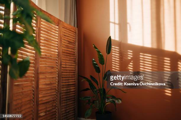different houseplants on table near orange coral wall - lili gentle fotografías e imágenes de stock