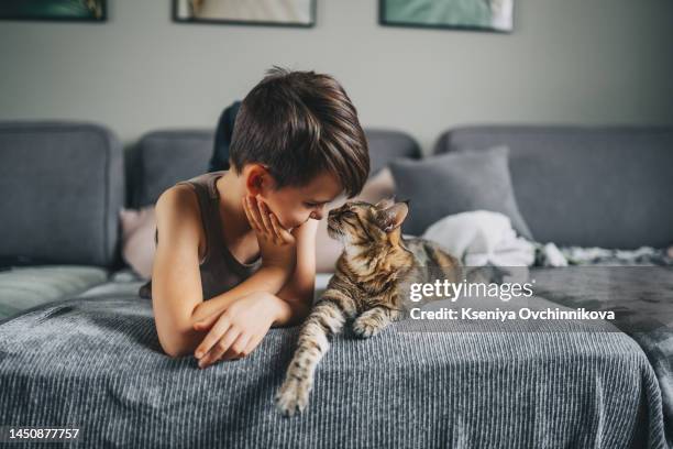 little kid boy with his cat pet on the couch. children and love pets concept. friendship with aimals - pets fotografías e imágenes de stock