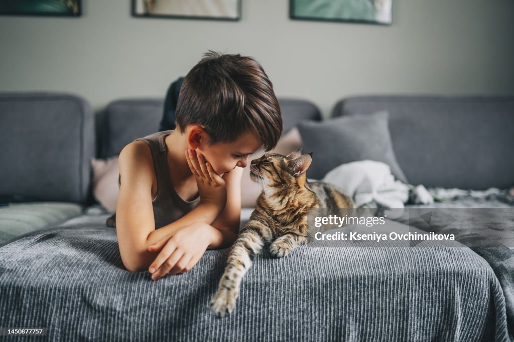 Little kid boy with his cat pet on the couch. Children and love pets concept. Friendship with aimals