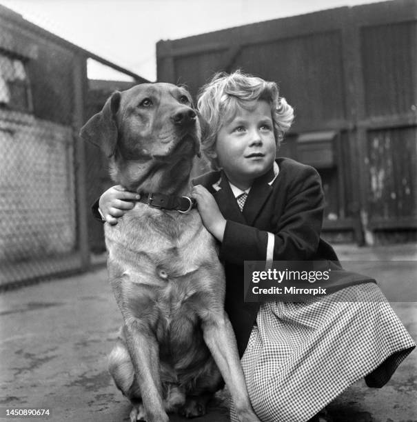 Small girl is reunited with her lost dog at the RSPCA kennels. June 1960.