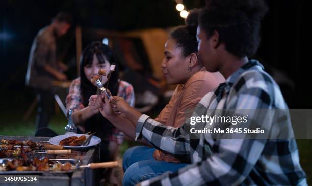 the adults sit on the campfire and enjoy barbecues. - night picnic stock pictures, royalty-free photos & images