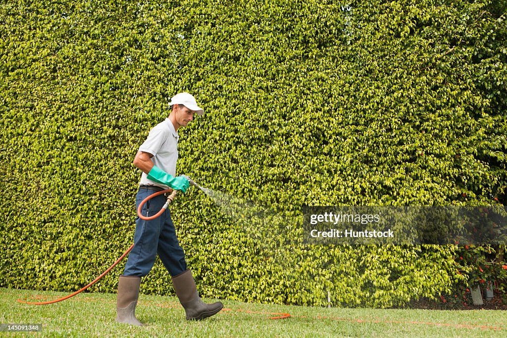 Pest control technician using high pressure spray gun and hose on  lawns