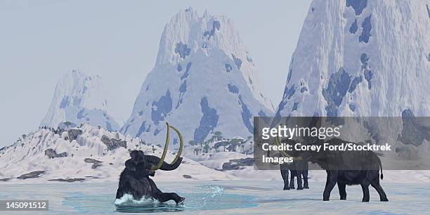 stockillustraties, clipart, cartoons en iconen met a bull from a woolly mammoth herd struggles for survival after he falls through the ice on a frozen lake. - animal trunk