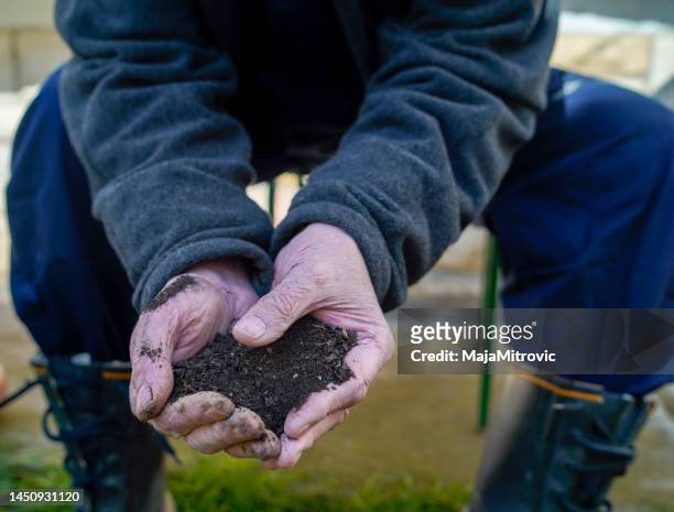 senior farmer showing the cameraman what fertile soil - fertilizer stock pictures, royalty-free photos & images
