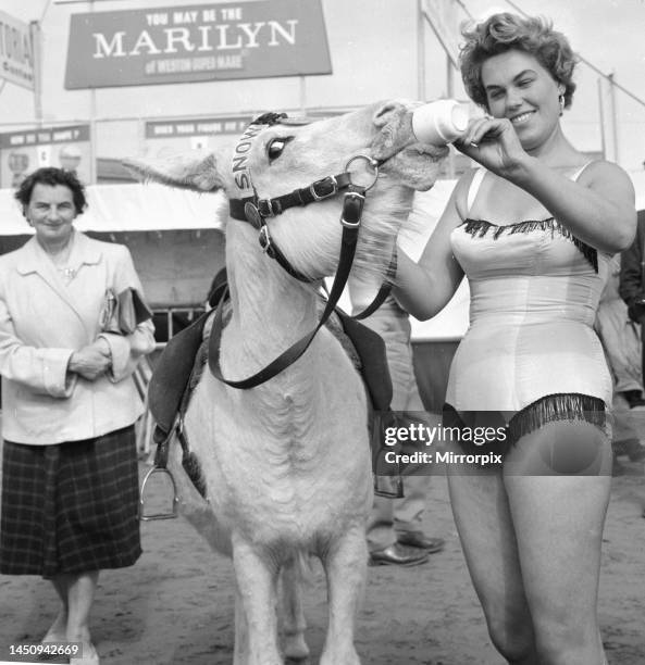 Sunday pictorial beach contest at Weston Super Mare. Winner Pam Baker gives a cup of tea to Snow white, a very rare pure white donkey who also won...