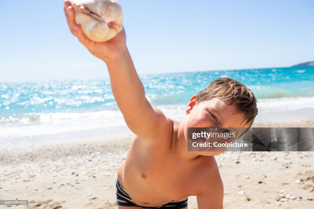 Boy And Shells Cute Boy With A Sea Shell On The Beach High-Res Stock Photo - Getty Images