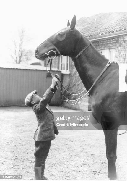 George Formby aged 10 years old, reaching for the horses reins. Circa 1915.